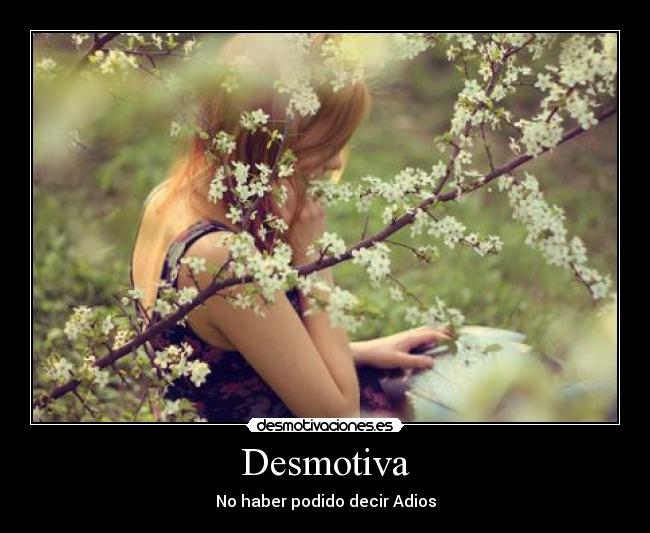 Desmotiva -