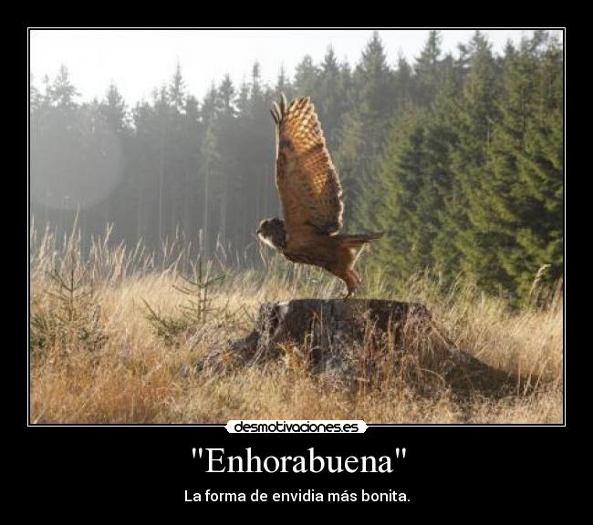 Enhorabuena - La forma de envidia más bonita.