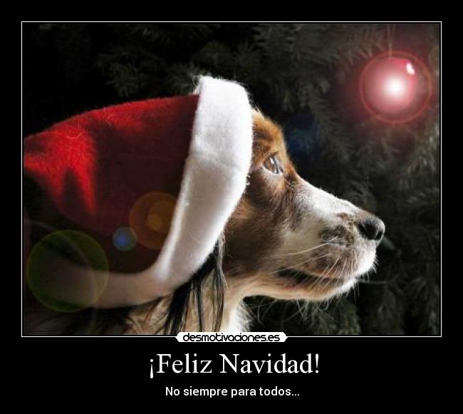 ¡Feliz Navidad! -