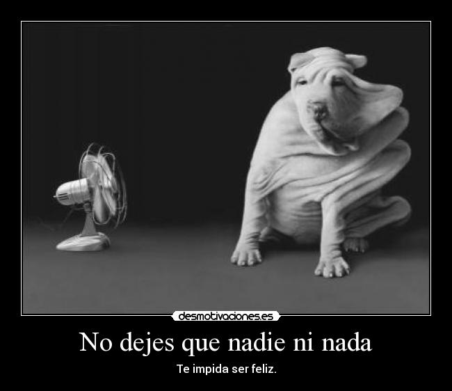 No dejes que nadie ni nada - Te impida ser feliz.