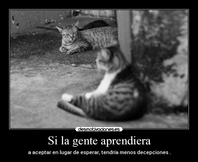 Si la gente aprendiera - a aceptar en lugar de esperar, tendría menos decepciones .