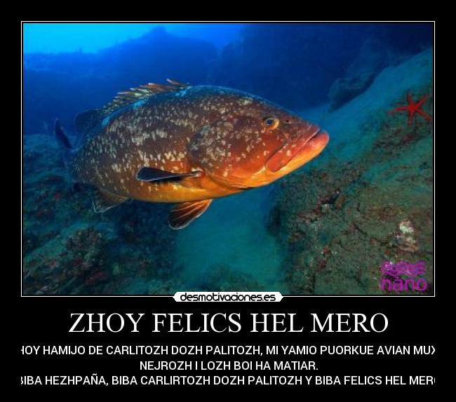 ZHOY FELICS HEL MERO - I ZHOY HAMIJO DE CARLITOZH DOZH PALITOZH, MI YAMIO PUORKUE AVIAN MUXOS
NEJROZH I LOZH BOI HA MATIAR.
BIBA HEZHPAÑA, BIBA CARLIRTOZH DOZH PALITOZH Y BIBA FELICS HEL MERO