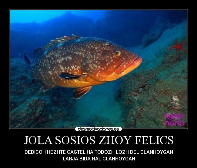 JOLA SOSIOS ZHOY FELICS - DEDICOH HEZHTE CAGTEL HA TODOZH LOZH DEL CLANHOYGAN
LARJA BIDA HAL CLANHOYGAN