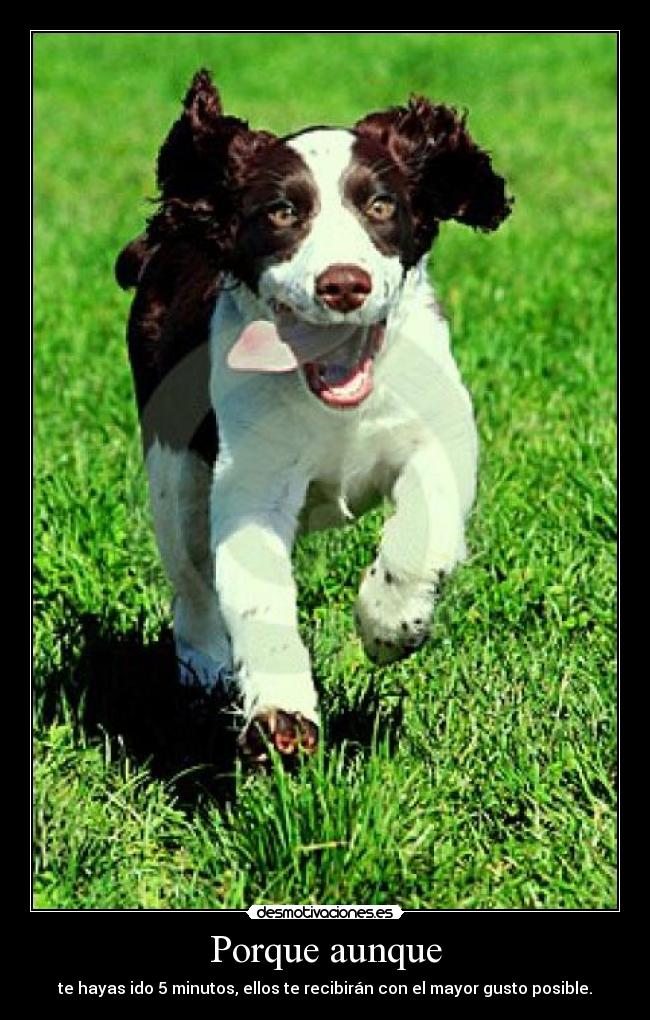 Porque aunque - te hayas ido 5 minutos, ellos te recibirán con el mayor gusto posible.