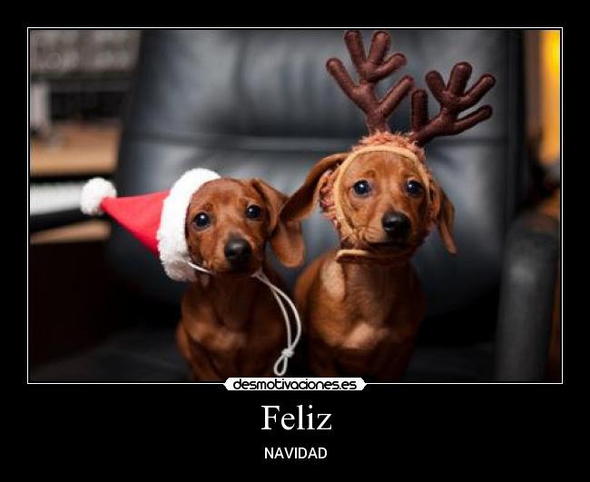 Feliz - NAVIDAD