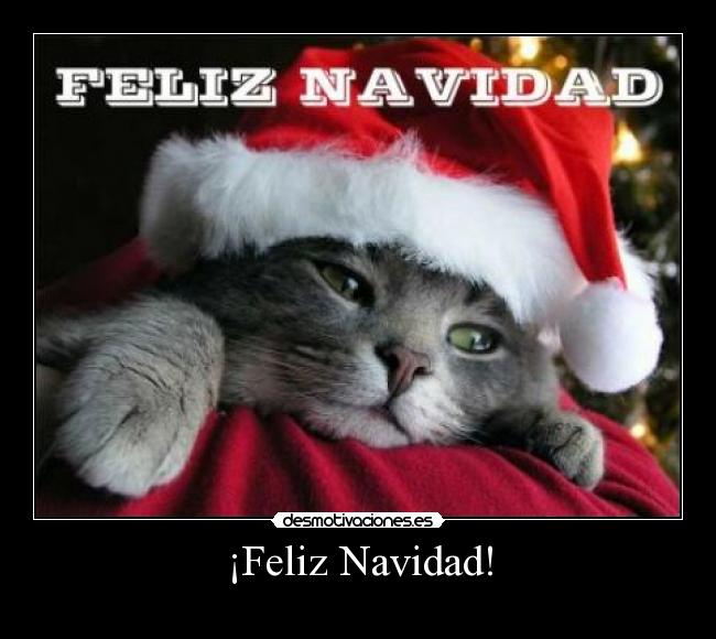 ¡Feliz Navidad! -