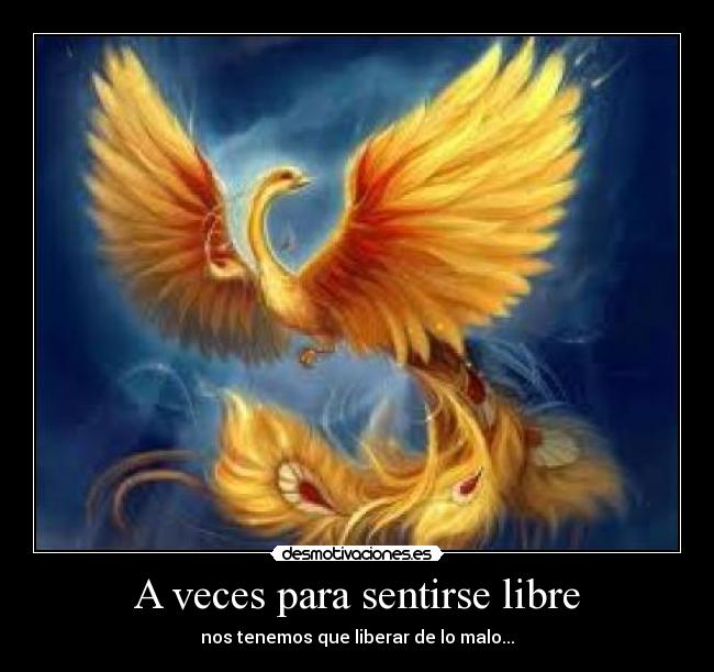 A veces para sentirse libre -