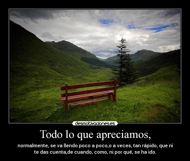 carteles todo desmotivaciones