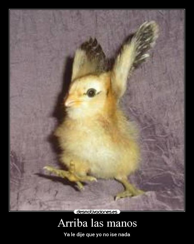 carteles alejandra galviz desmotivaciones