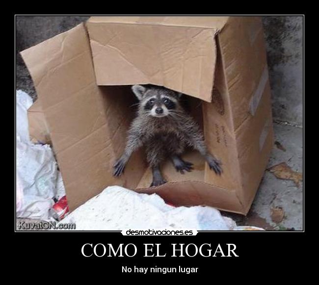 carteles mpache cajas ogar desmotivaciones