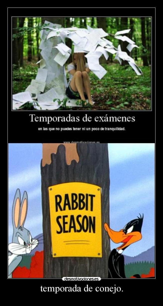 temporada de conejo. - 