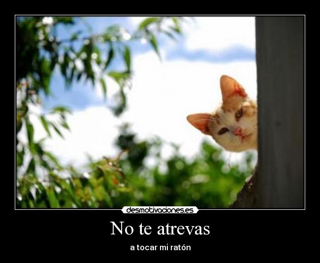 carteles desmotivaciones