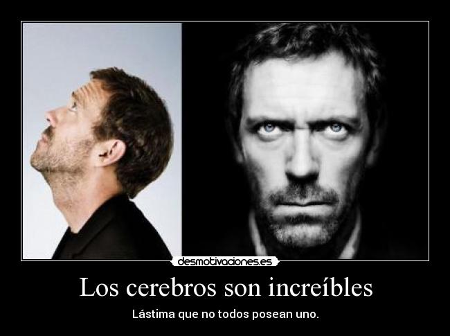 Los cerebros son increíbles -