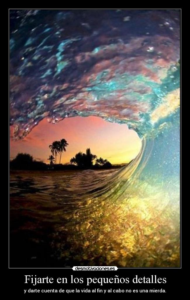 Fijarte en los pequeños detalles - y darte cuenta de que la vida al fin y al cabo no es una mierda.