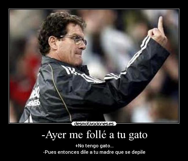 -Ayer me follé a tu gato -