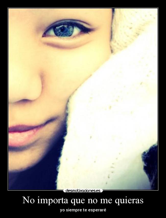 No importa que no me quieras -