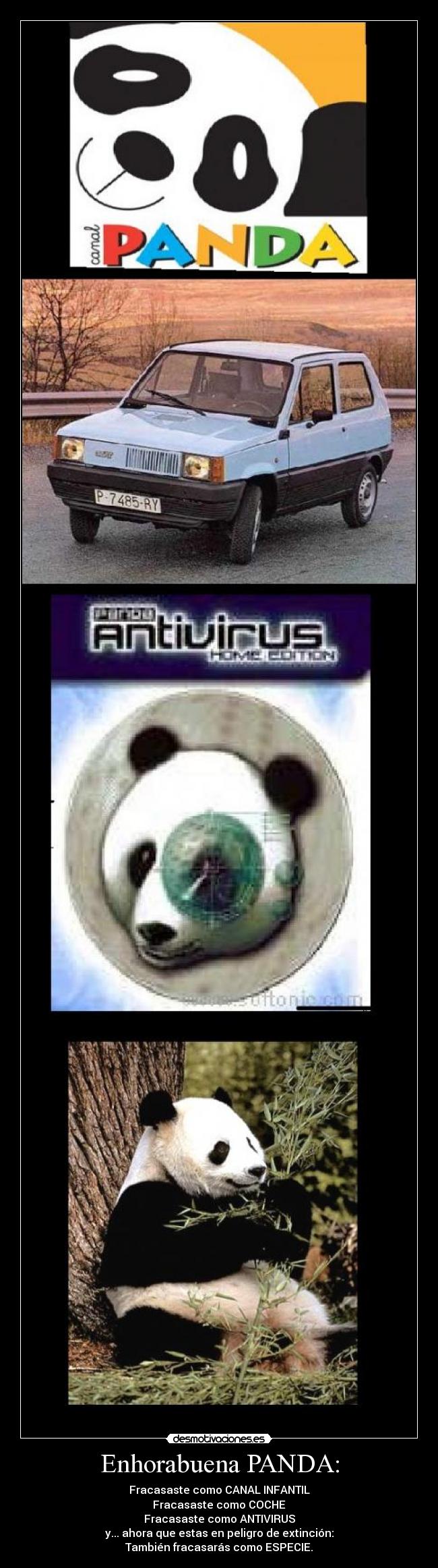 Enhorabuena PANDA: -