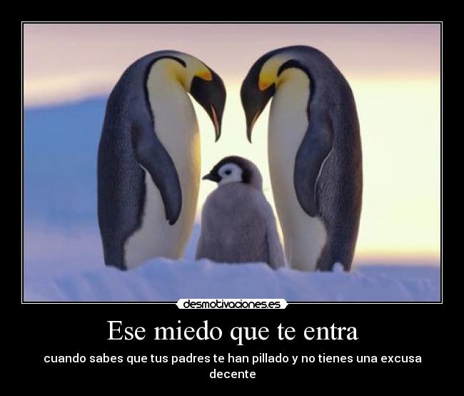 Ese miedo que te entra - cuando sabes que tus padres te han pillado y no tienes una excusa decente