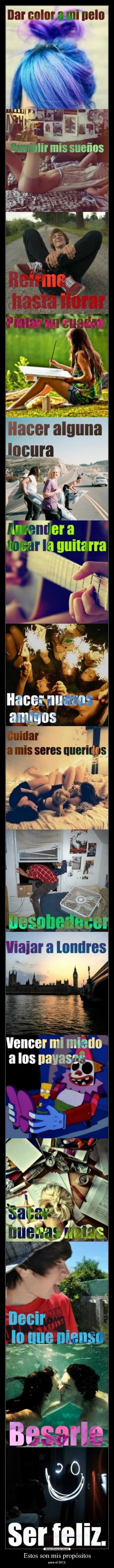 Estos son mis propósitos -