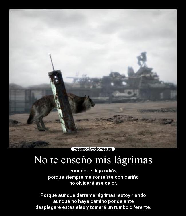 carteles lagrimas adios sonreir carino alas final fantasy advent children gackt desmotivaciones