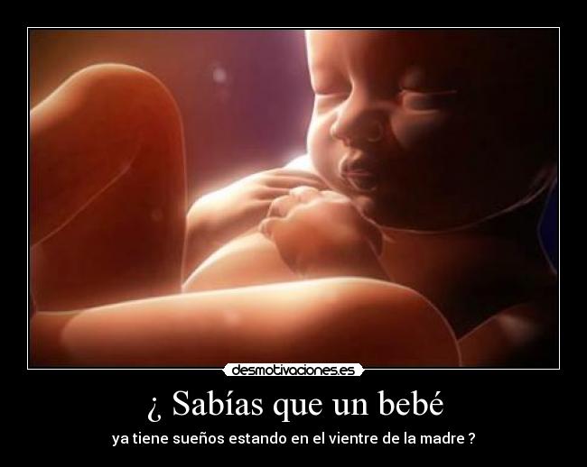 ¿ Sabías que un bebé - ya tiene sueños estando en el vientre de la madre ?