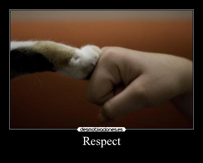 carteles fasdgfgtrhdfdfsg clanhoygan gusta bollicao kittag tigre asi que nomiresaqui intruders desmotivaciones