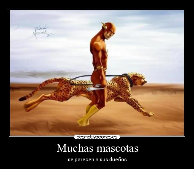 Muchas mascotas - se parecen a sus dueños