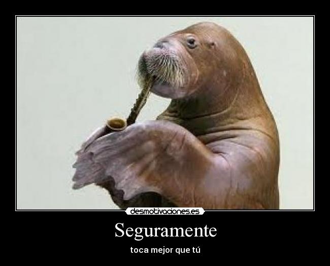 Seguramente - toca mejor que tú