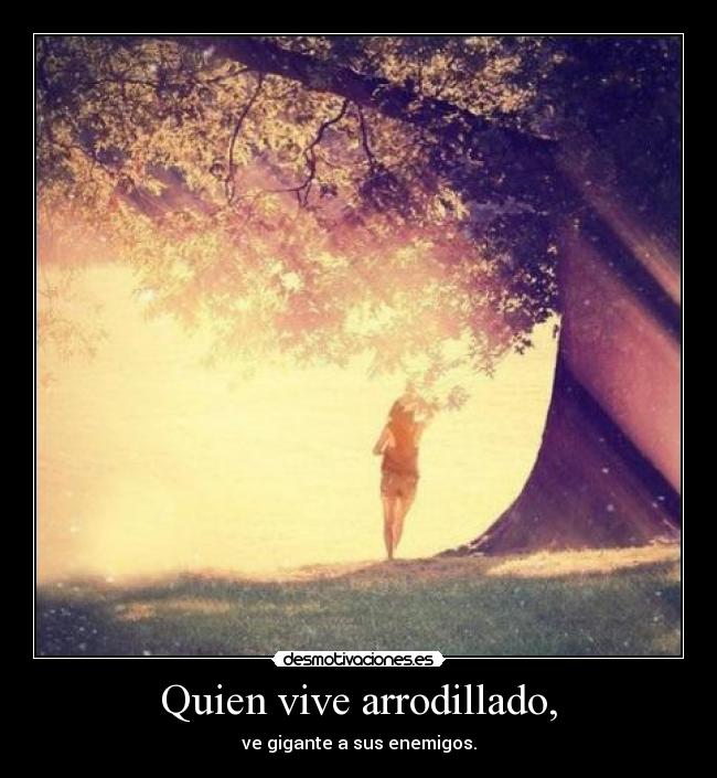 Quien vive arrodillado, - 