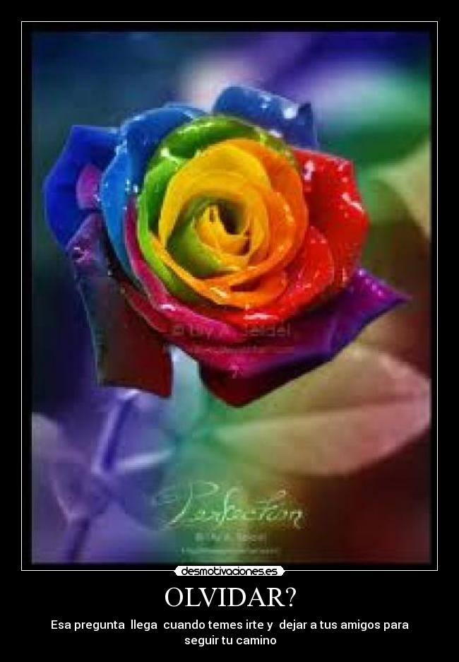OLVIDAR? - Esa pregunta llega cuando temes irte y dejar a tus amigos para seguir tu camino