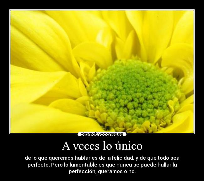 A veces lo único - de lo que queremos hablar es de la felicidad, y de que todo sea
perfecto. Pero lo lamentable es que nunca se puede hallar la
perfección, queramos o no.