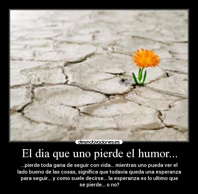 carteles humor propio esperanza humor futuro desmotivaciones