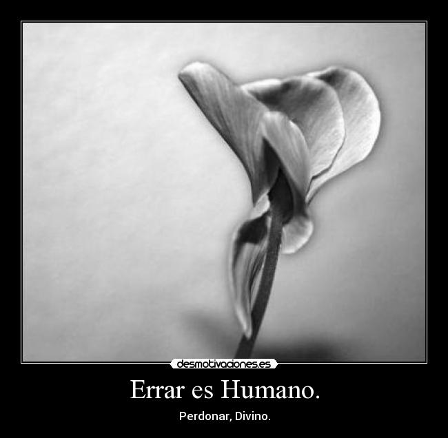 Errar es Humano. -