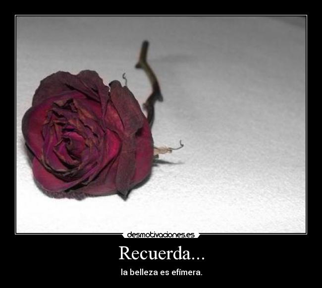 Recuerda... - 