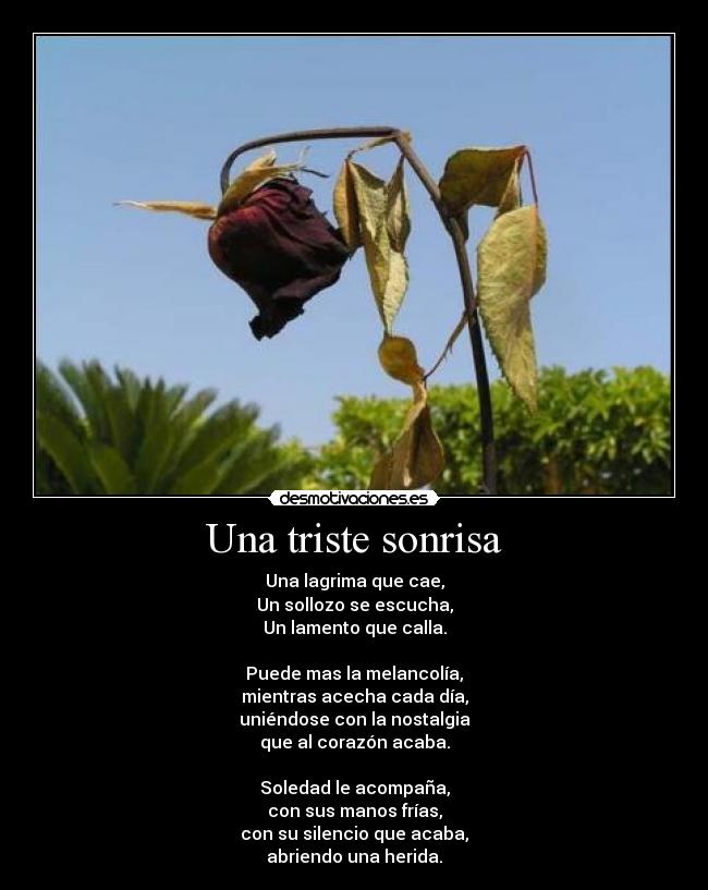 Una triste sonrisa - Una lagrima que cae,
Un sollozo se escucha,
Un lamento que calla.

Puede mas la melancolía,
mientras acecha cada día,
uniéndose con la nostalgia
que al corazón acaba.

Soledad le acompaña,
con sus manos frías,
con su silencio que acaba,
abriendo una herida.