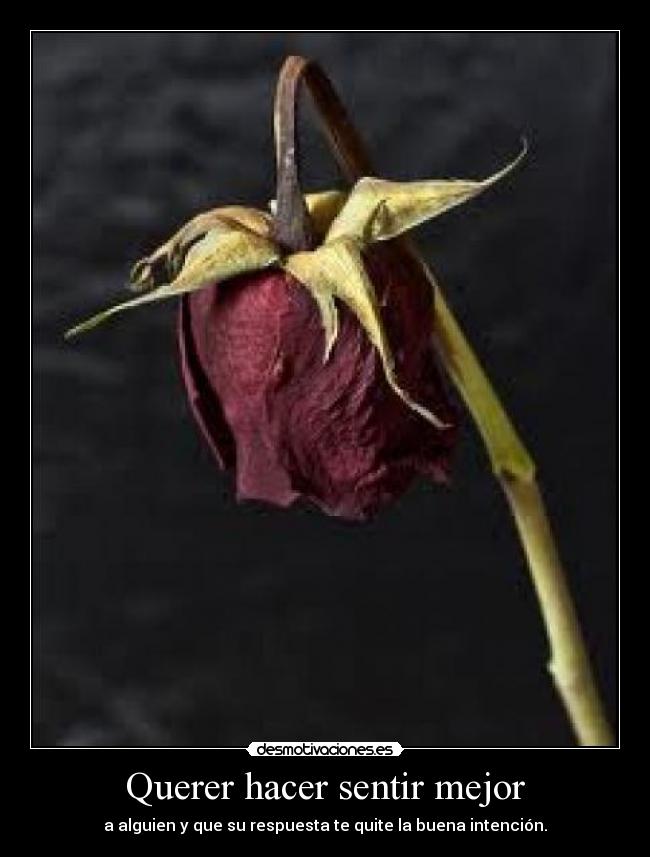 Querer hacer sentir mejor - 