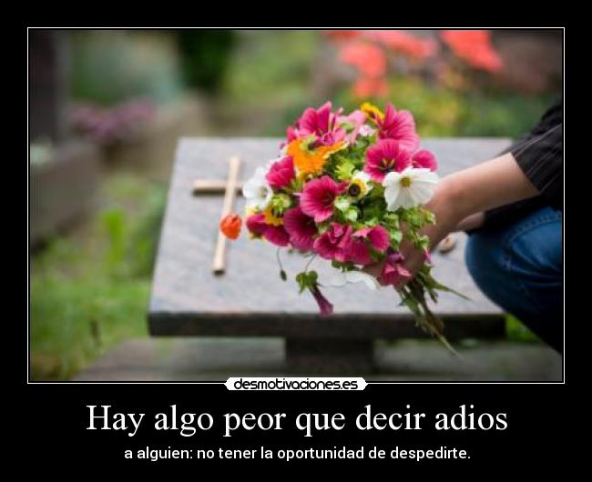 carteles tener oportunidad despedirte desmotivaciones