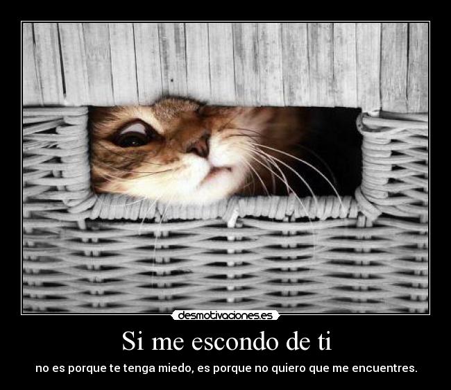 Si me escondo de ti - 