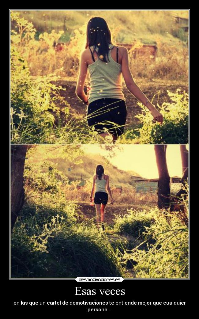 Esas veces - en las que un cartel de demotivaciones te entiende mejor que cualquier persona ...
