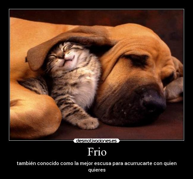 Frio - también conocido como la mejor escusa para acurrucarte con quien quieres