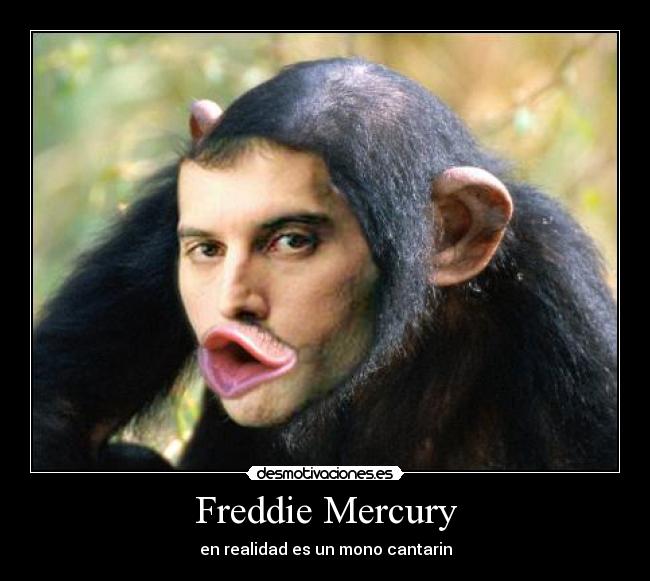 Freddie Mercury - en realidad es un mono cantarin