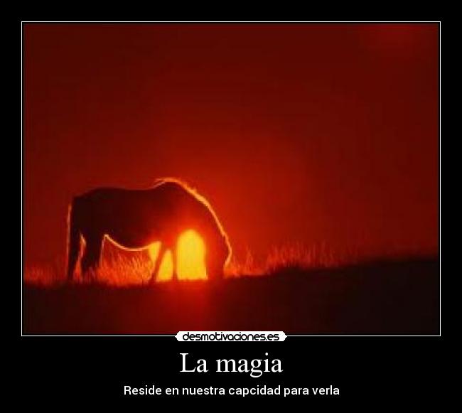 La magia -