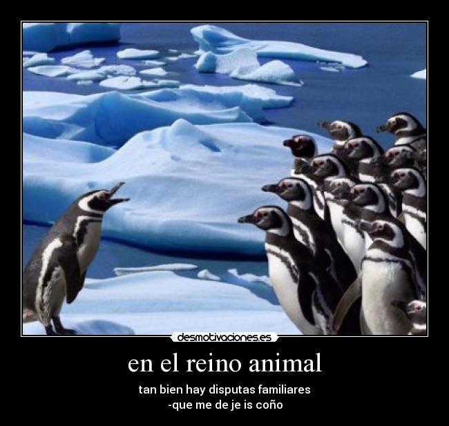 en el reino animal - tan bien hay disputas familiares
-que me de je is coño