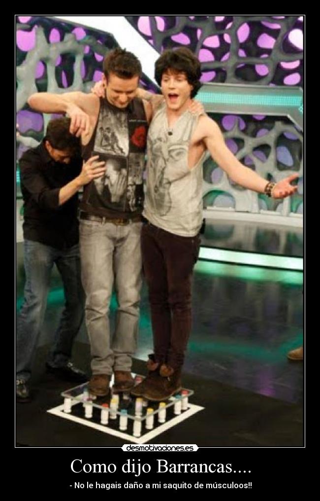 carteles barrancas mcfly hormiguero harry judd desmotivaciones