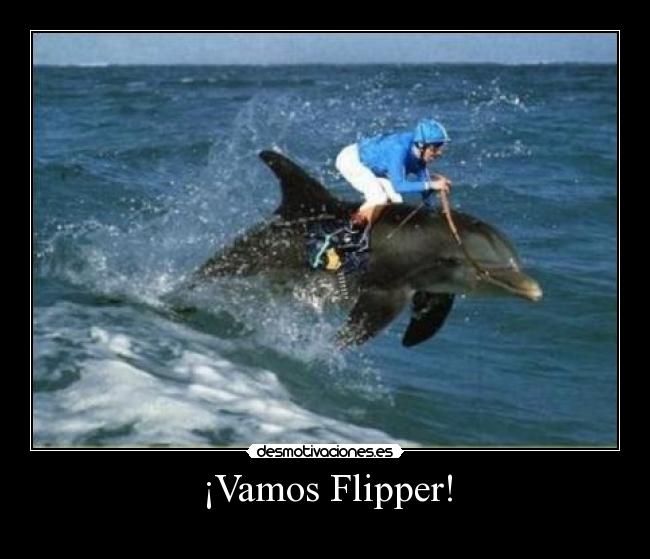 ¡Vamos Flipper! -