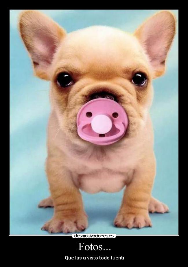 Fotos... - Que las a visto todo tuenti