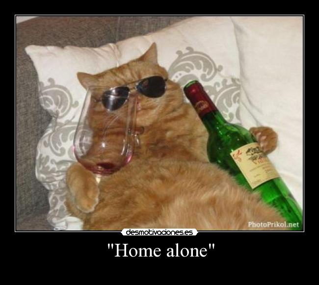 carteles home alone desmotivaciones