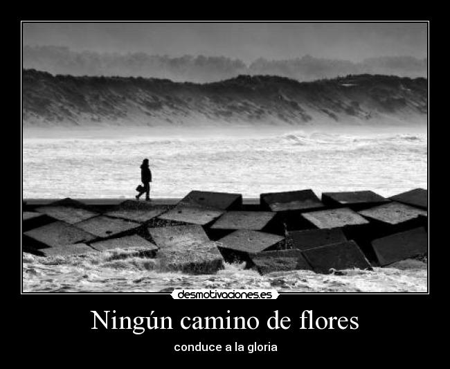 Ningún camino de flores - 