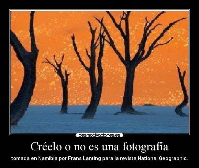 Créelo o no es una fotografía - 