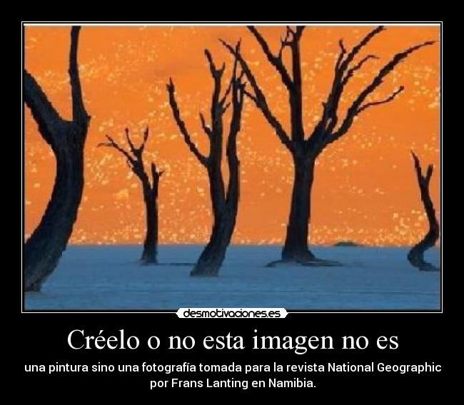 Créelo o no esta imagen no es - una pintura sino una fotografía tomada para la revista National Geographic
por Frans Lanting en Namibia.